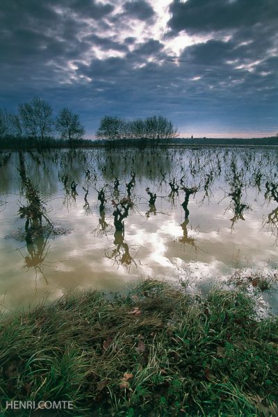 Le fleuve Herault, qui prend sa source au mont Aigoual, est connu pour ses crues automnales causées par des épisodes pluvieux trés intenses dénommés épisodes cévenoles.