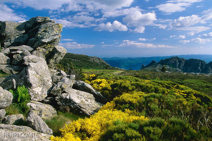 Le plateau au sommet du mont Caroux et ses roches granitiques, issues des profondeurs de la terre et vieilles de plus de 300 millions d’années.
