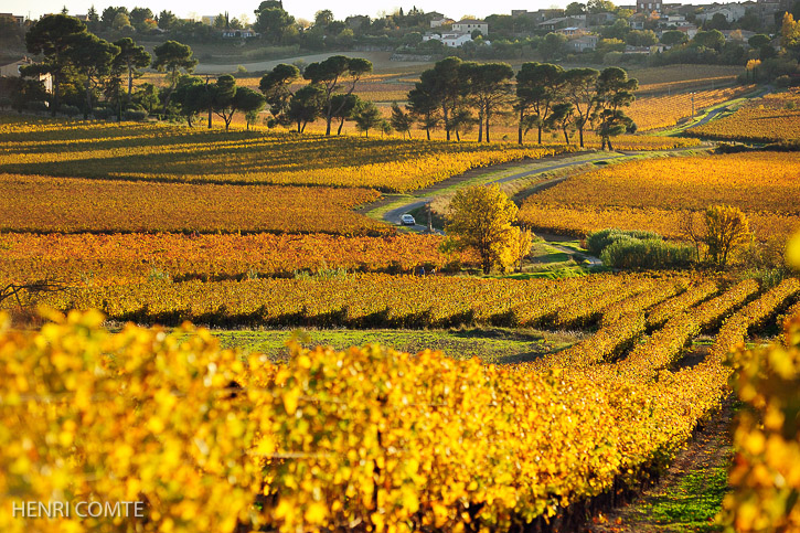 Ici prés d’Autignac se termine la plaine bitteroise et s’ouvre l’AOC Faugères et ses premiers côteaux