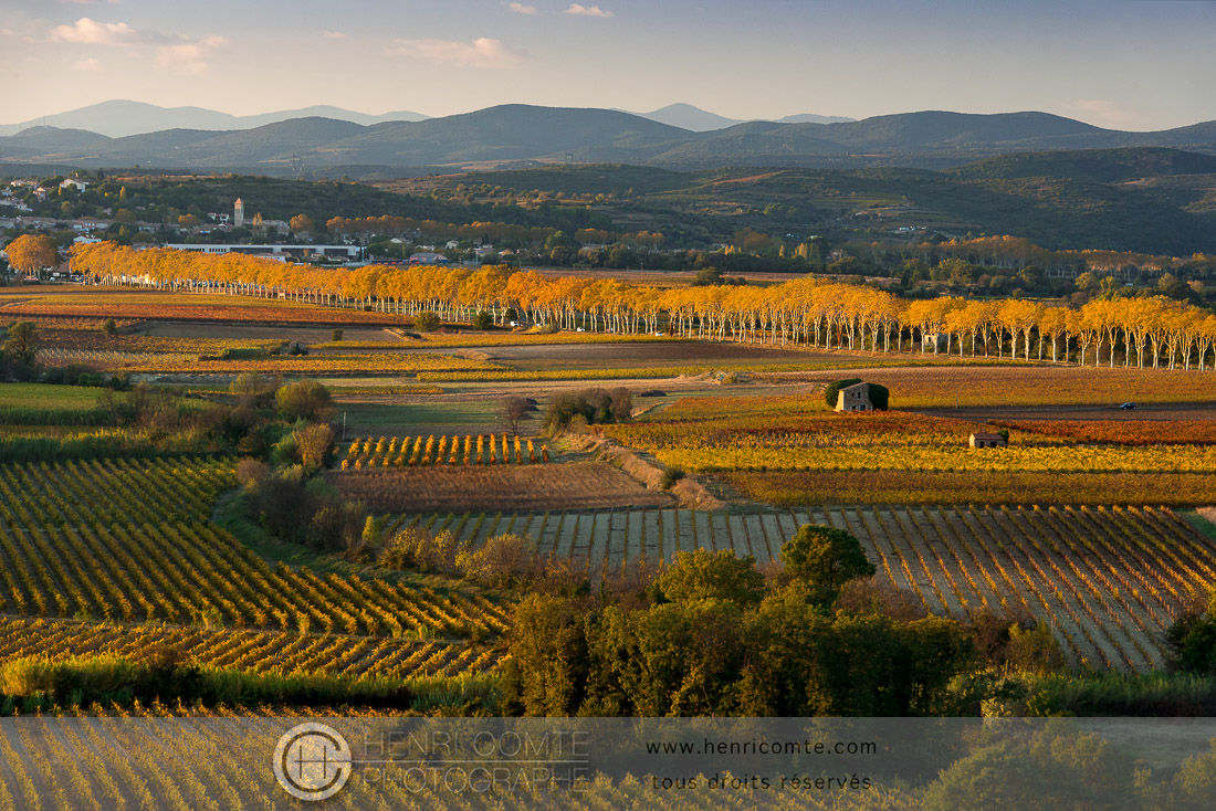 languedoc paysage