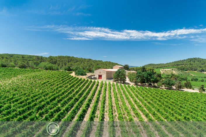 Domaine viticole dans l'Aude drone