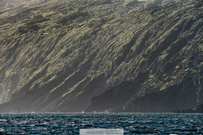 Archipel des Açores - Ile de Pico