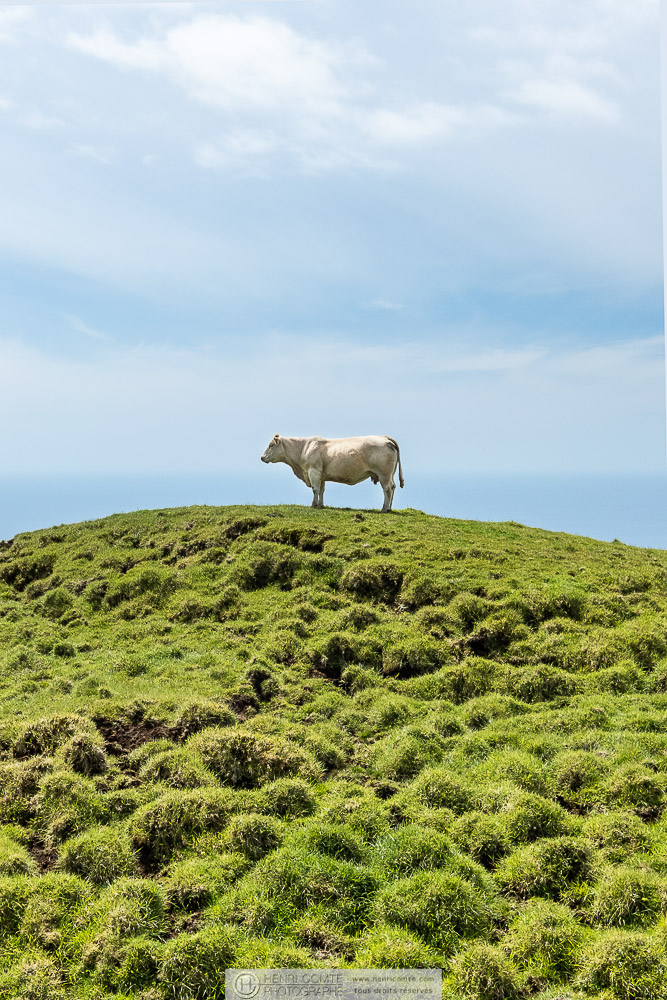 Archipel des Açores - Ile de Pico