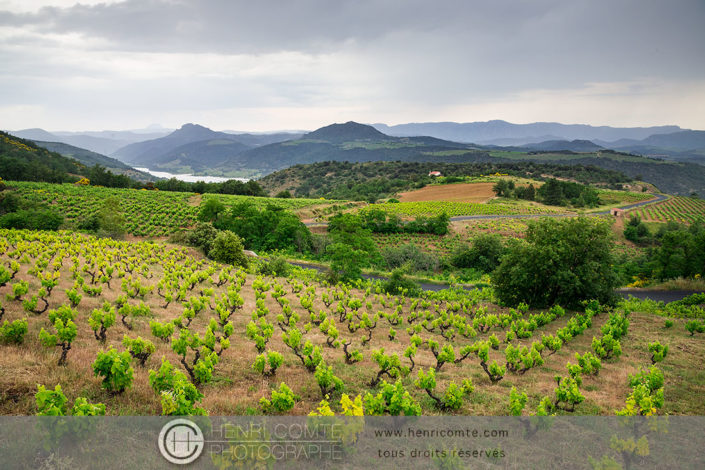 vignoble-pyrenees