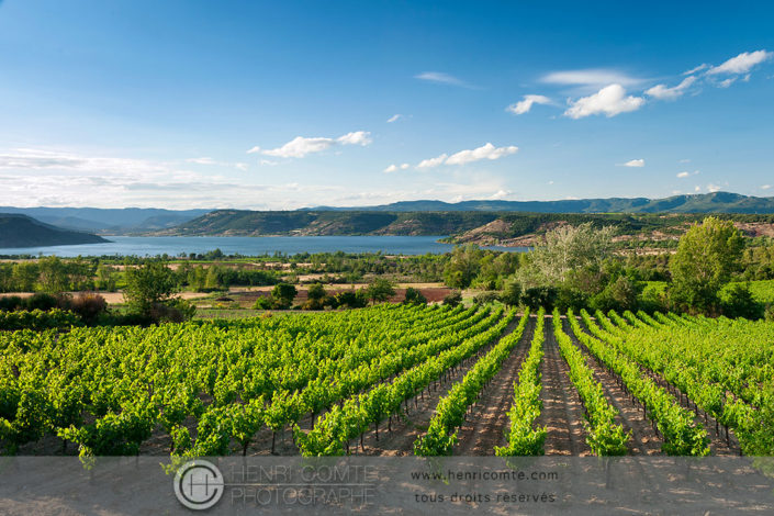 Vignoble Salagou