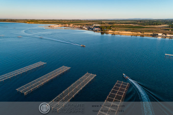 Parcs à huîtres étang de Thau photo drone