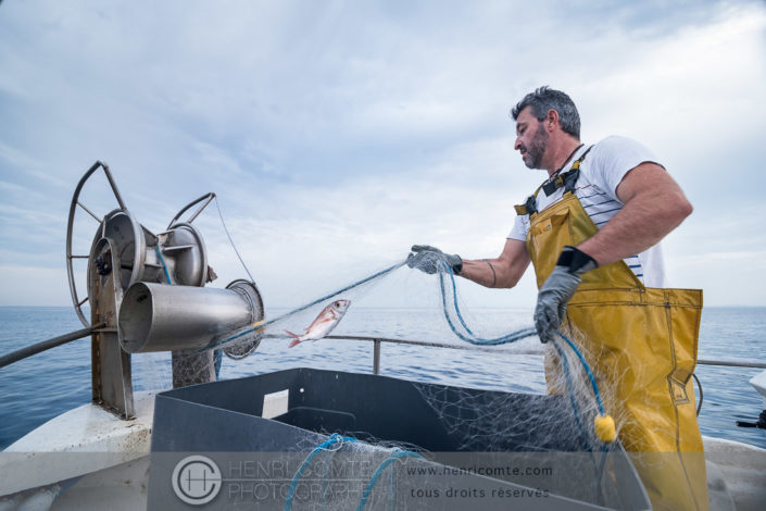 Pecheur Petit métier méditerranée OP du Sud