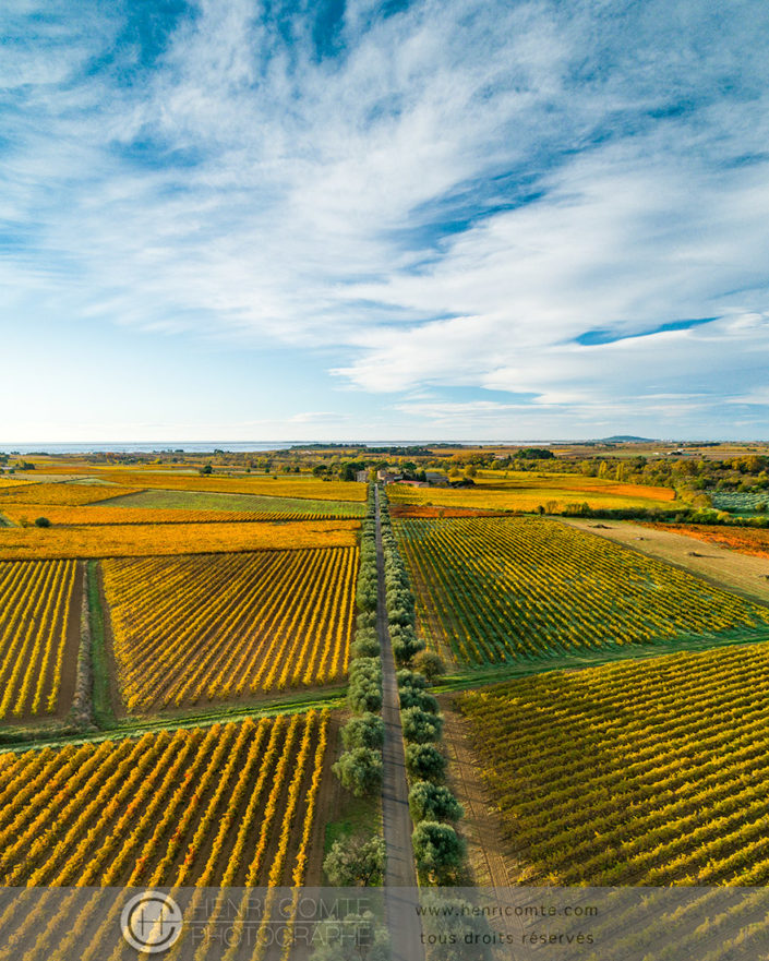 Photo en drone vignoble etang thau