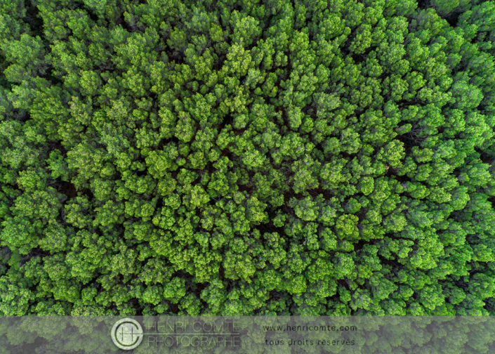 Photo en drone Pinede